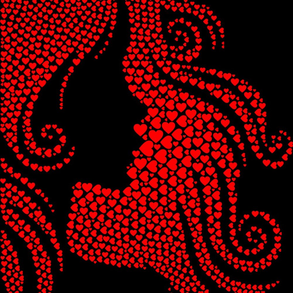 Meet your Posher, Jody